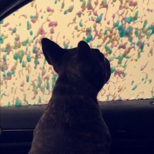 Meet your Posher, Samuel